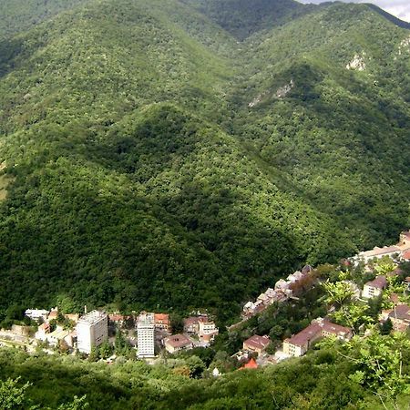 Garsoniera Aleea Trandafirilor Lejlighed Băile Herculane Eksteriør billede