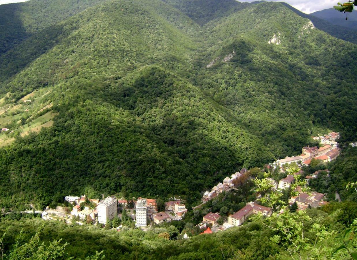 Garsoniera Aleea Trandafirilor Lejlighed Băile Herculane Eksteriør billede